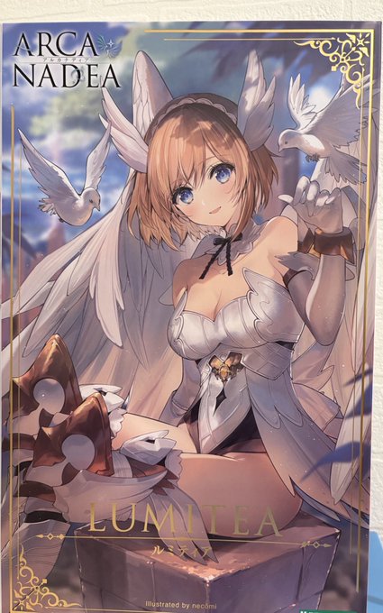 アルカナディアのルミティア、ポイントのおかげで3800円買えた〜。初期作だから最新の1万超えキット達と比べると随分買いやすい方。 