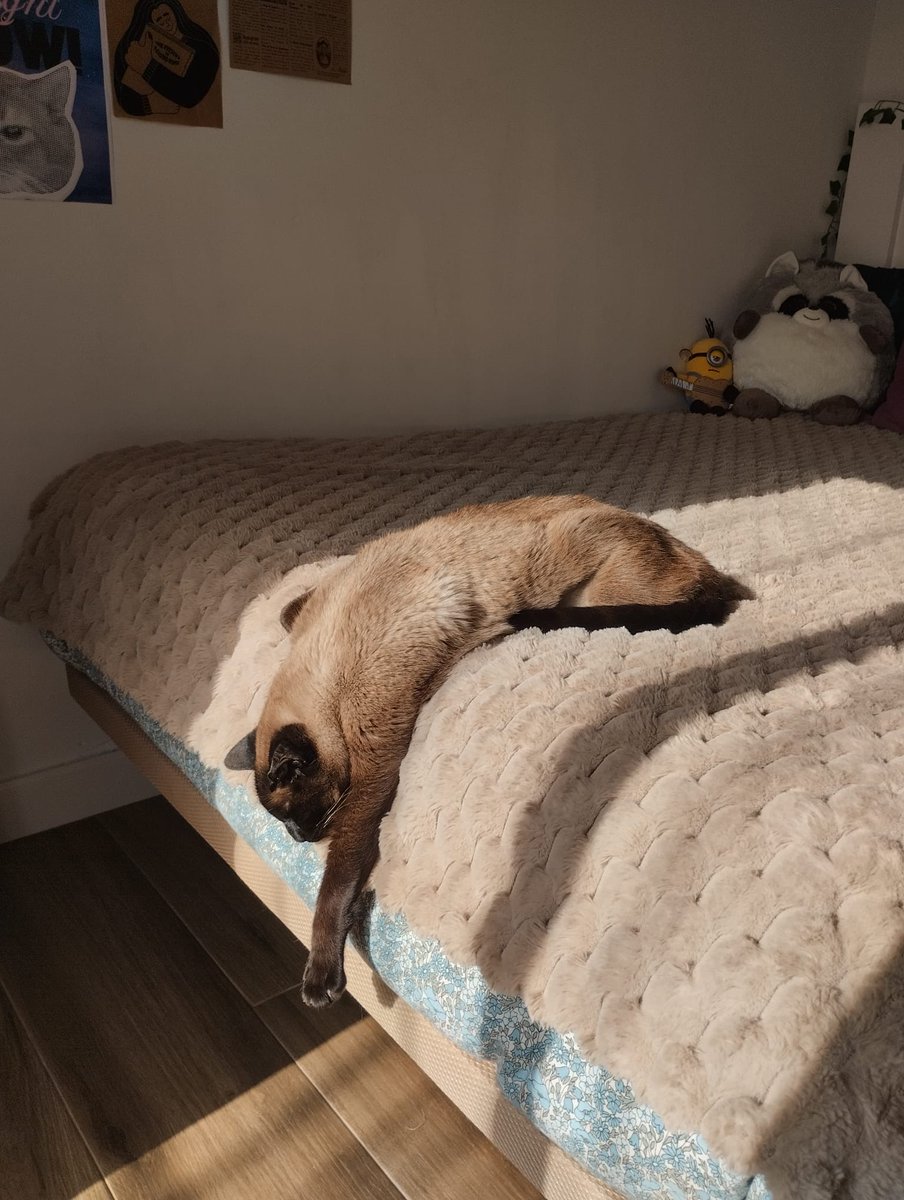 El Refugio - Escuela MARLENE tweet media