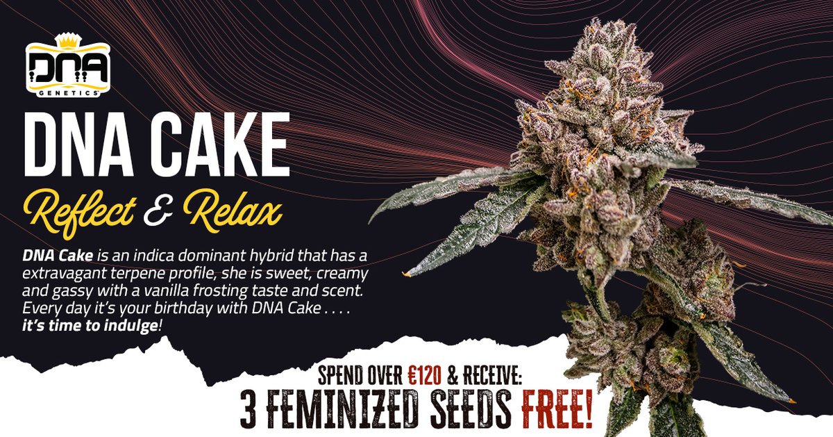 DNA Genetics tweet media