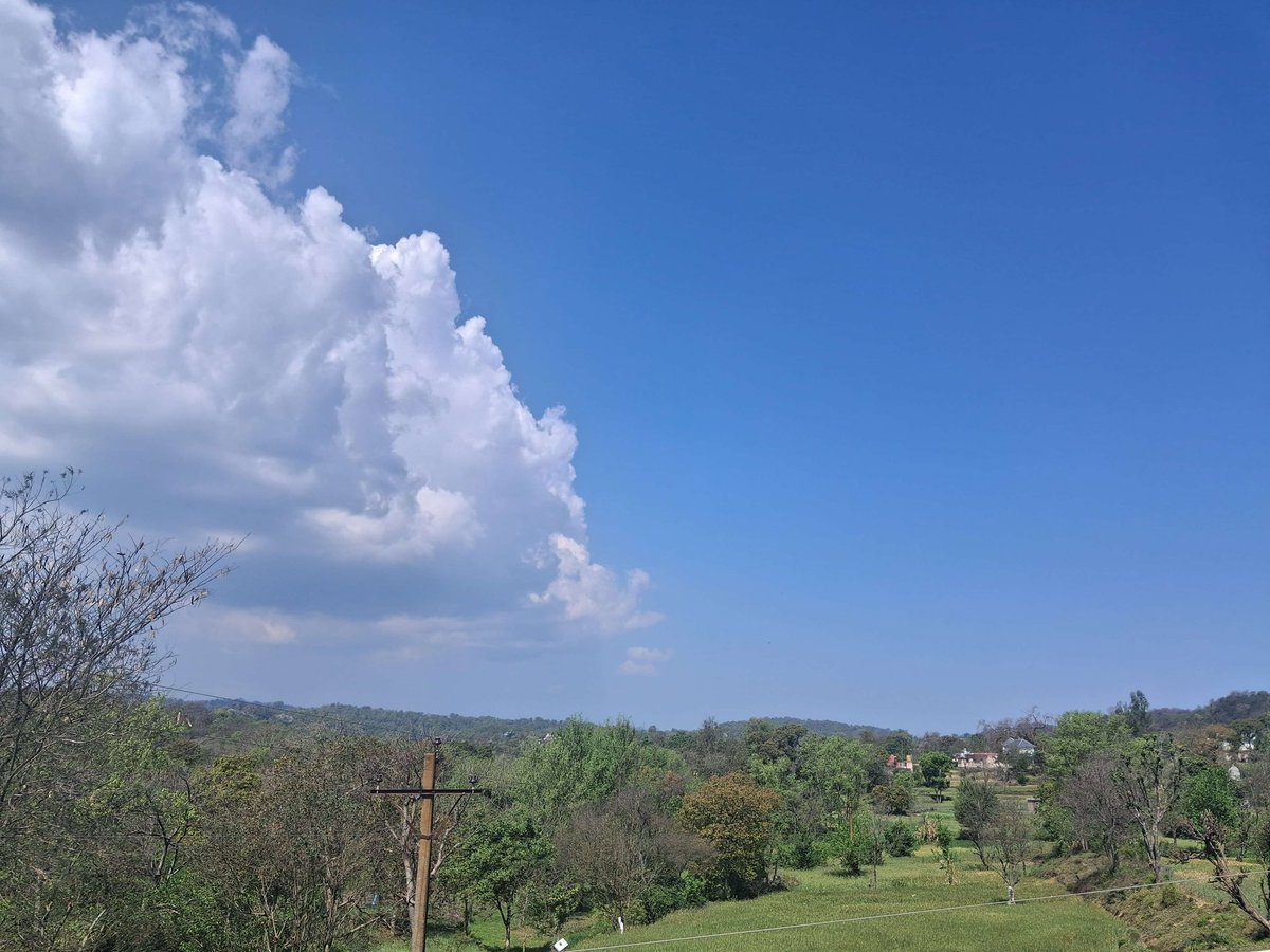 మోహనానంద tweet media