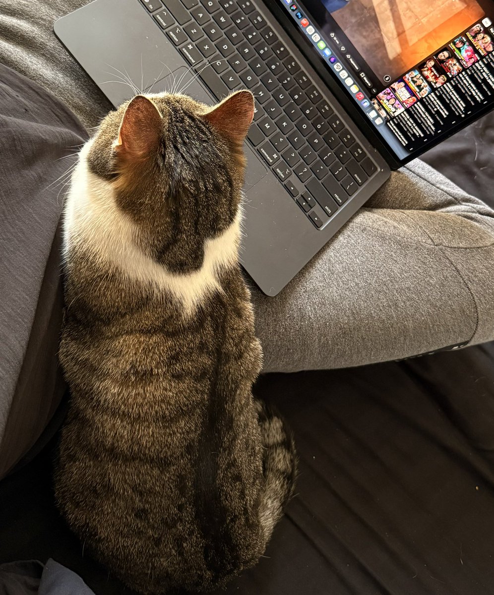 ШЕО 🔞🇺🇦🏳️🌈 tweet media