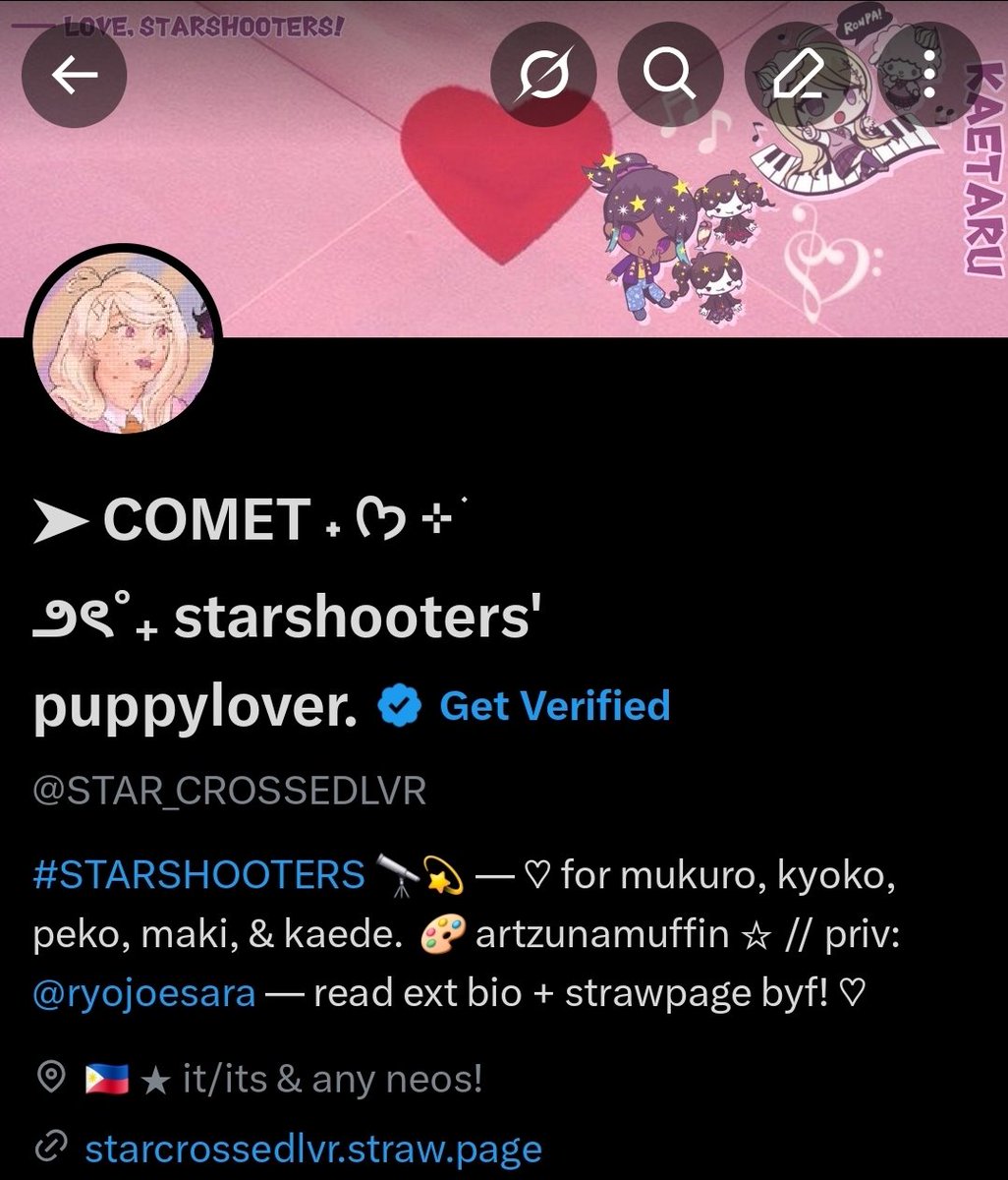 ➤ COMET ˖ ᡣ𐭩 ⊹ ࣪ ౨ৎ˚₊ starshooters' puppylover. tweet media