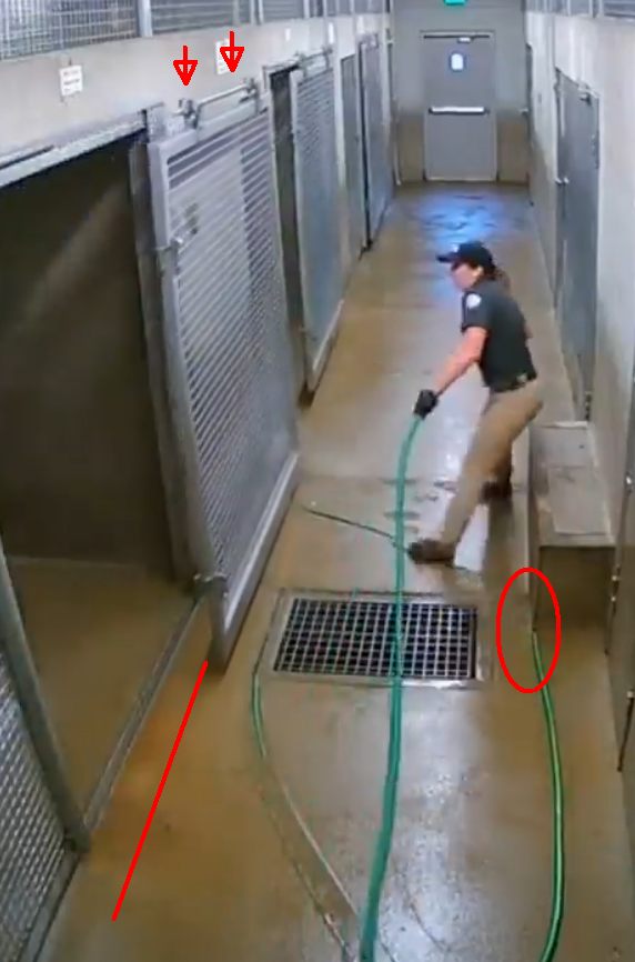 RolfDutch's tweet photo. @NenkMonica No ground rail.
Floating suspension above
A pressurized water hose that is not connected anywhere. https://t.co/AFFSz9uQol