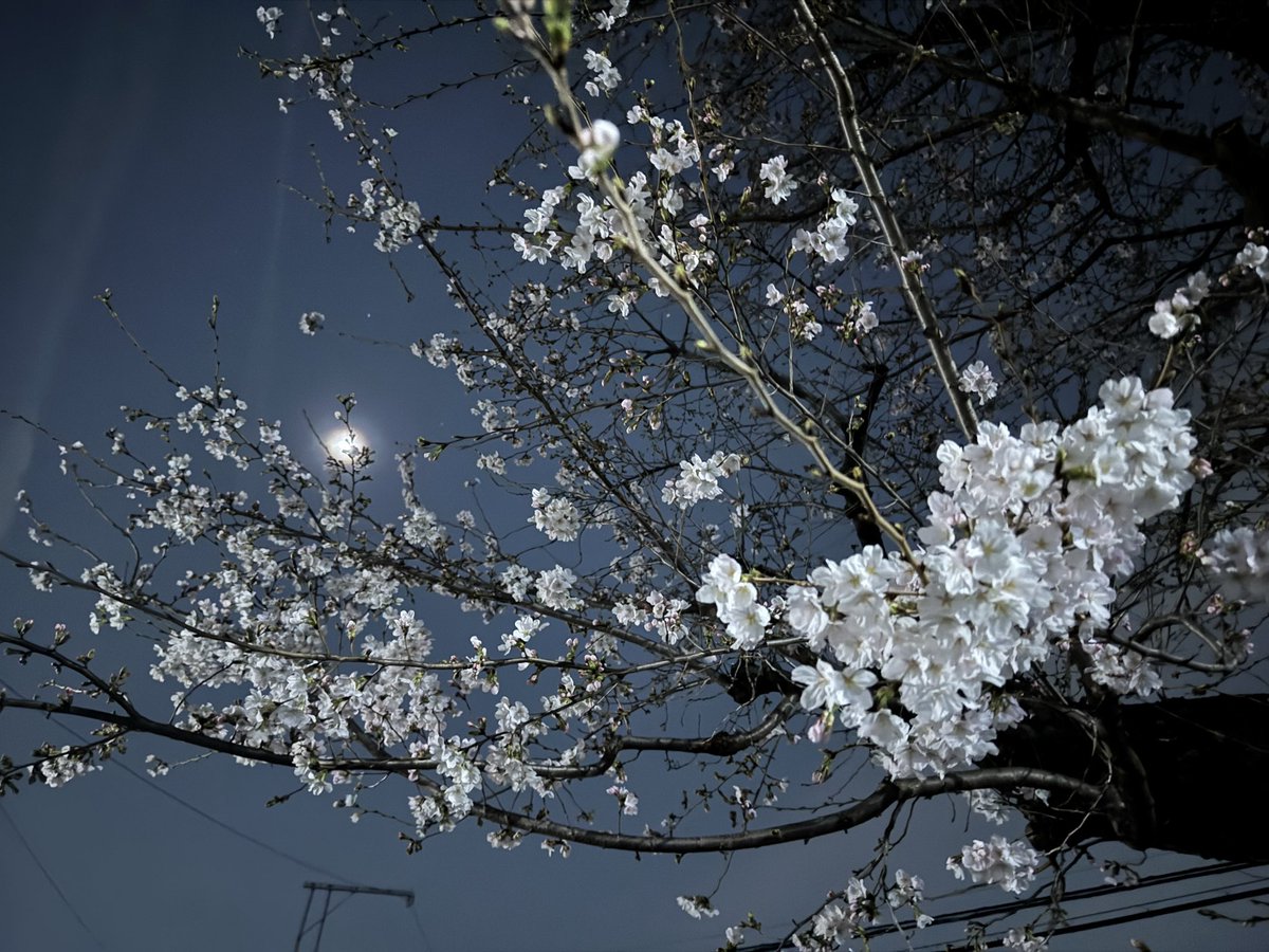 アイドルマスター好きのてっちゃん (本アカ)next→ウマ娘7th event tweet media