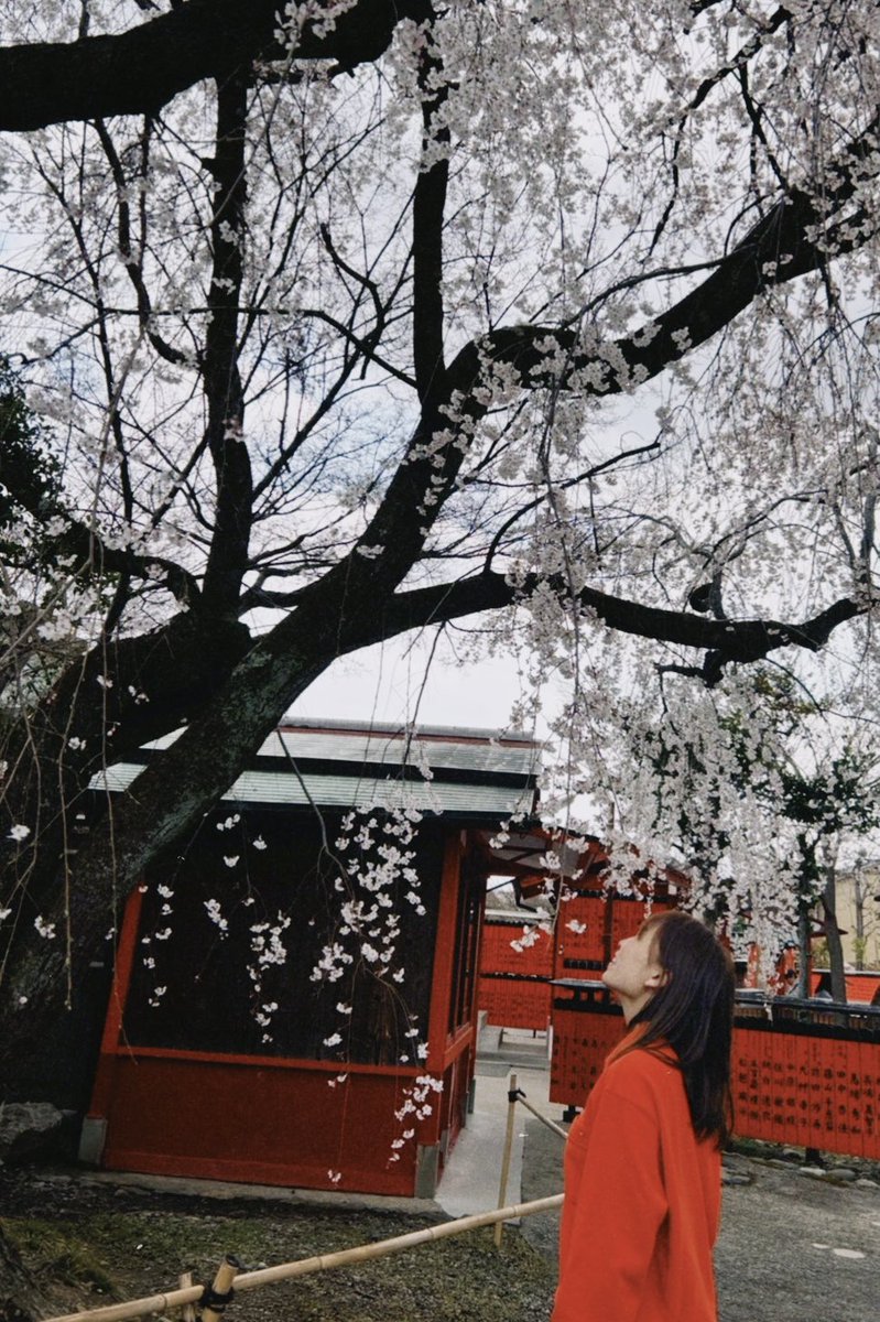 西出陽菜🥁-Hina Nishide-🪘 tweet media