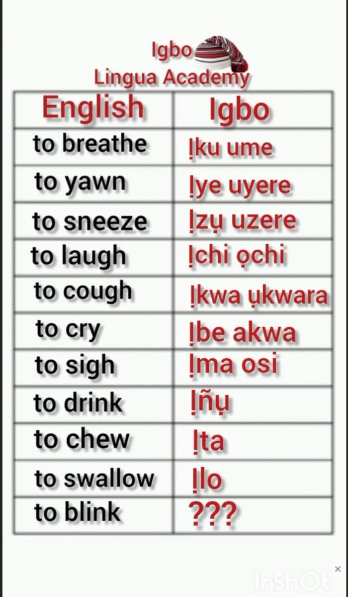 Amobi Kachi tweet media