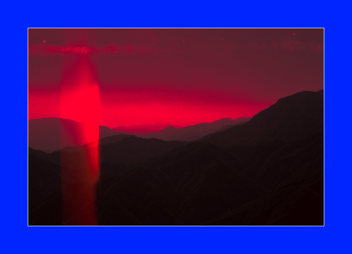 C41Shawn tweet media