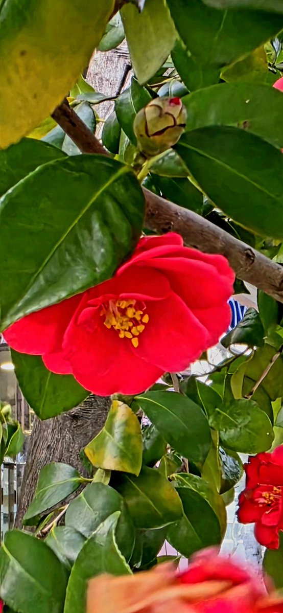 Ericaptain tweet media