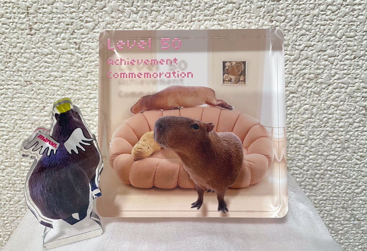 ろく🌰。 tweet media