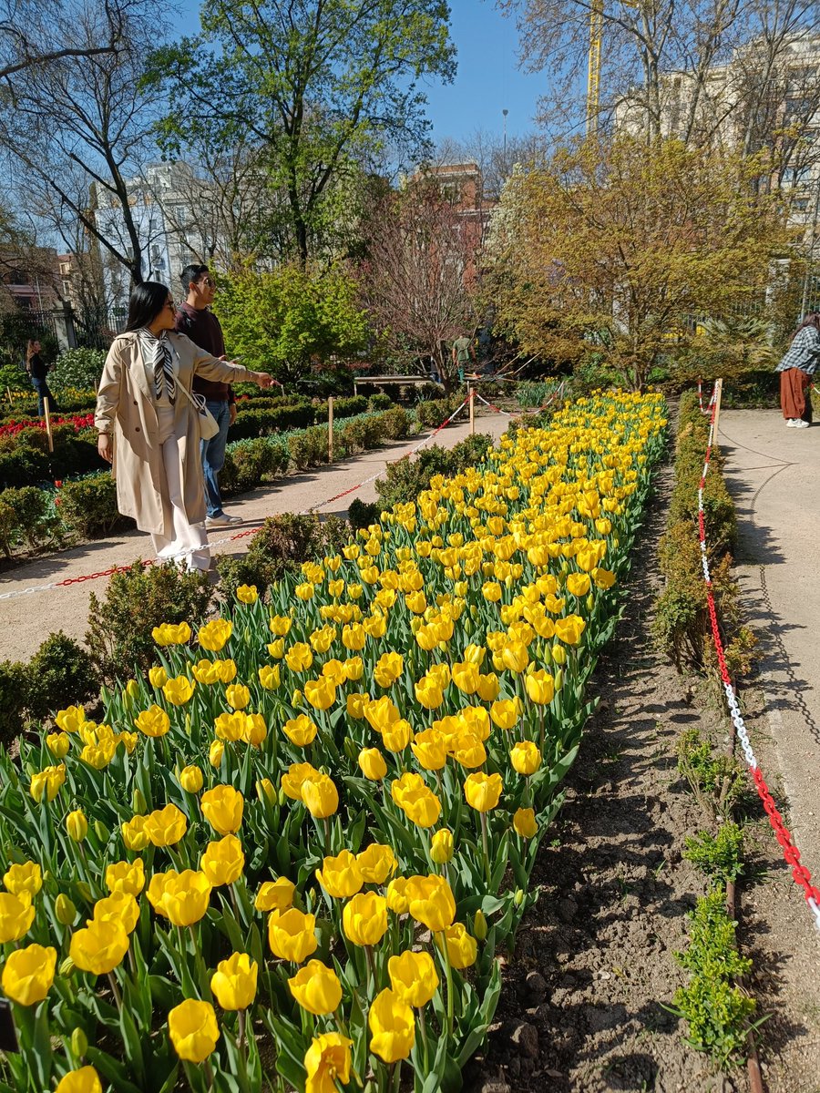 REAL JARDÍN BOTÁNICO tweet media