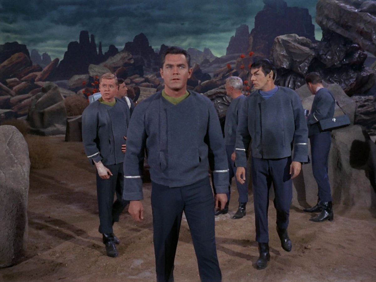 𝕭𝖗𝖚𝖉𝖎 𝕮𝖆𝖗𝖗𝖊𝖑𝖑 🍺 tweet media