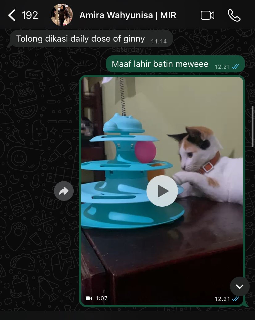 chickenugget__'s tweet photo. Same energy https://t.co/ys0m2PHQps