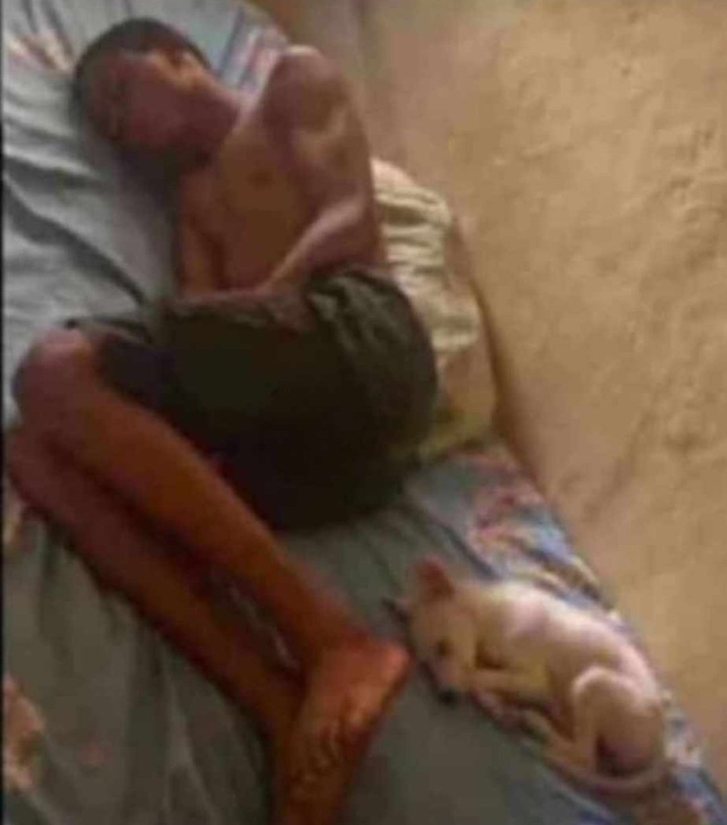 Nobody understand me reach my dog