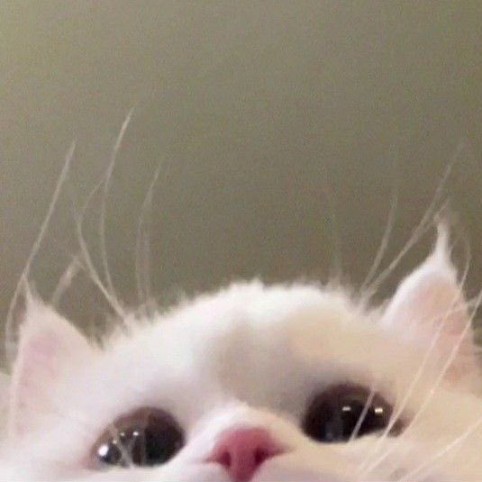 มุมยูกแงวหนิ่