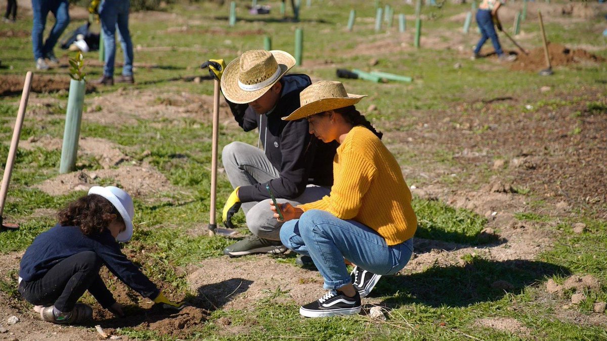 Noticias Las Rozas tweet media