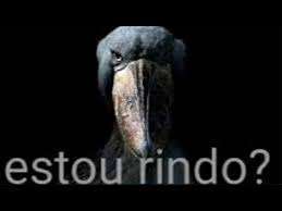 Flame 🔥🌷 tweet media