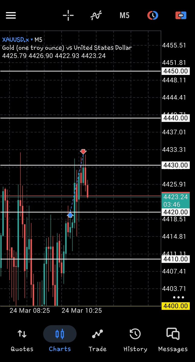 𝔹𝕠𝕤𝕤ℂ𝕙𝕚𝕓𝕠 tweet media