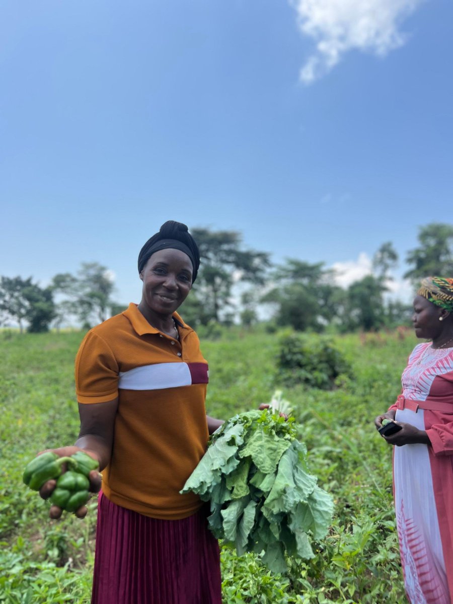 Women's International Peace Centre tweet media