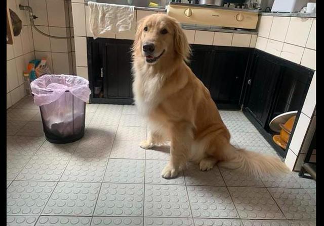 Sabha Fgh tweet media