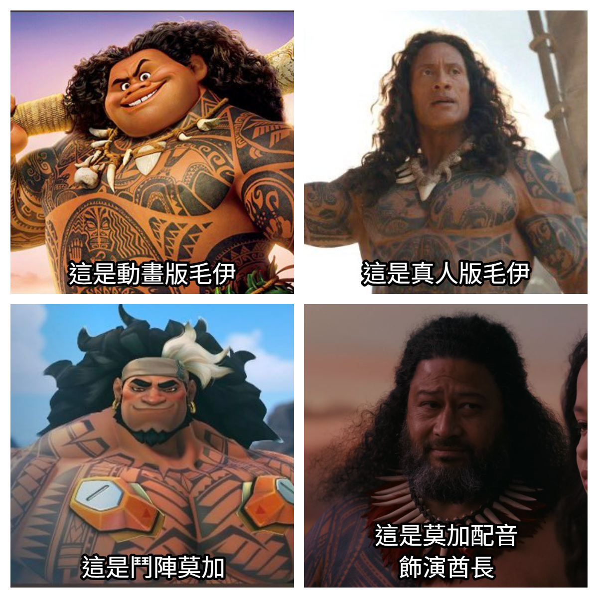 轟卡💫星魂系 2.0 準備中 tweet media