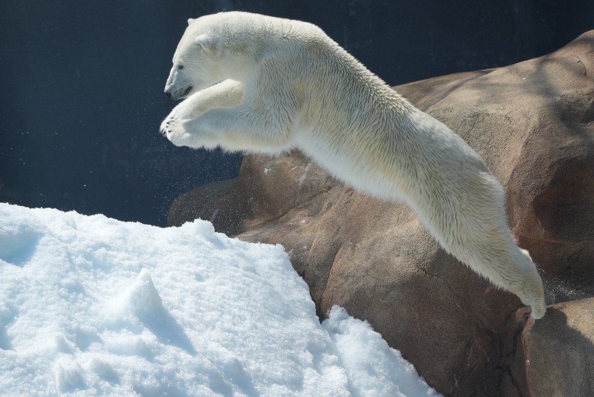 りつこ tweet media