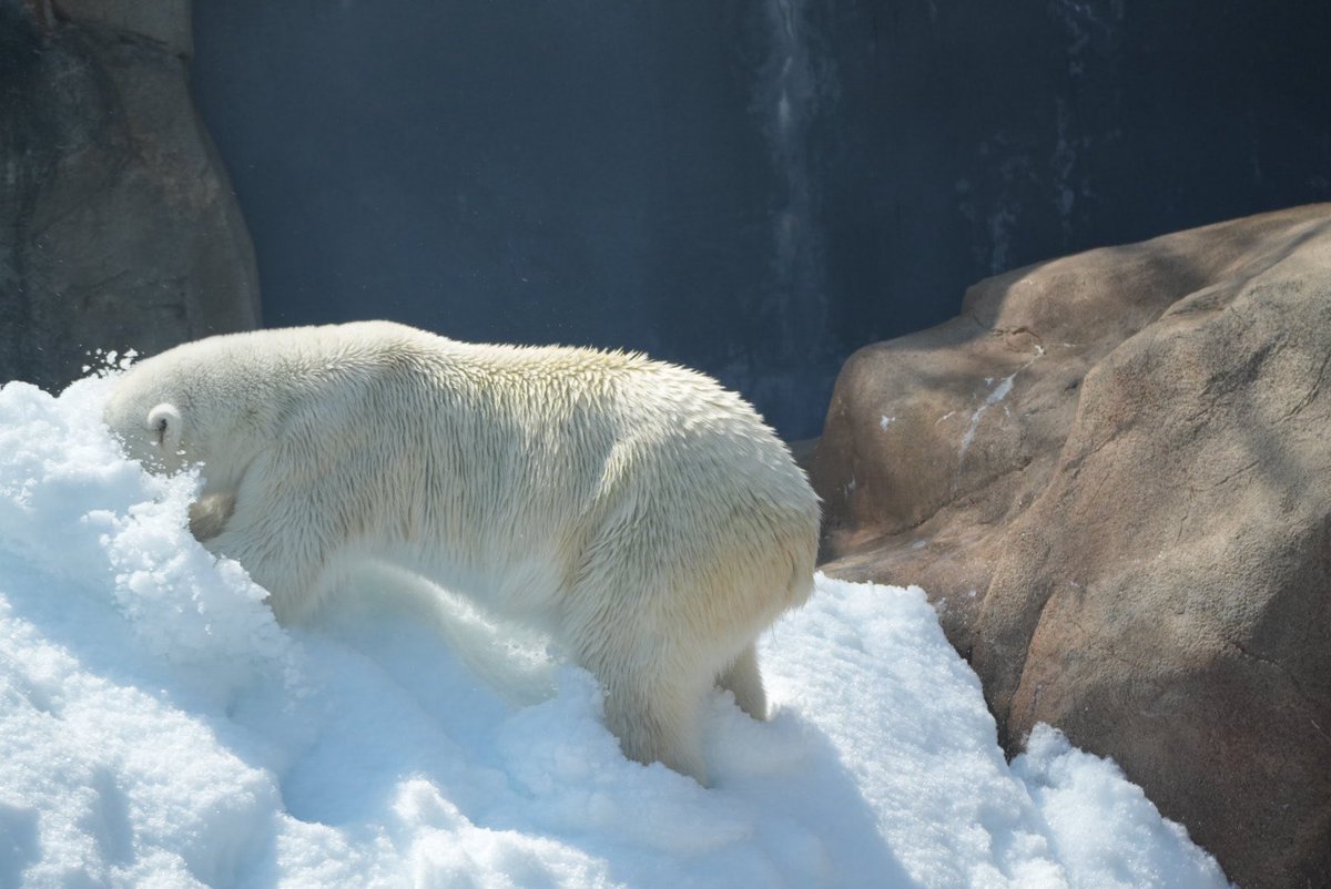 りつこ tweet media