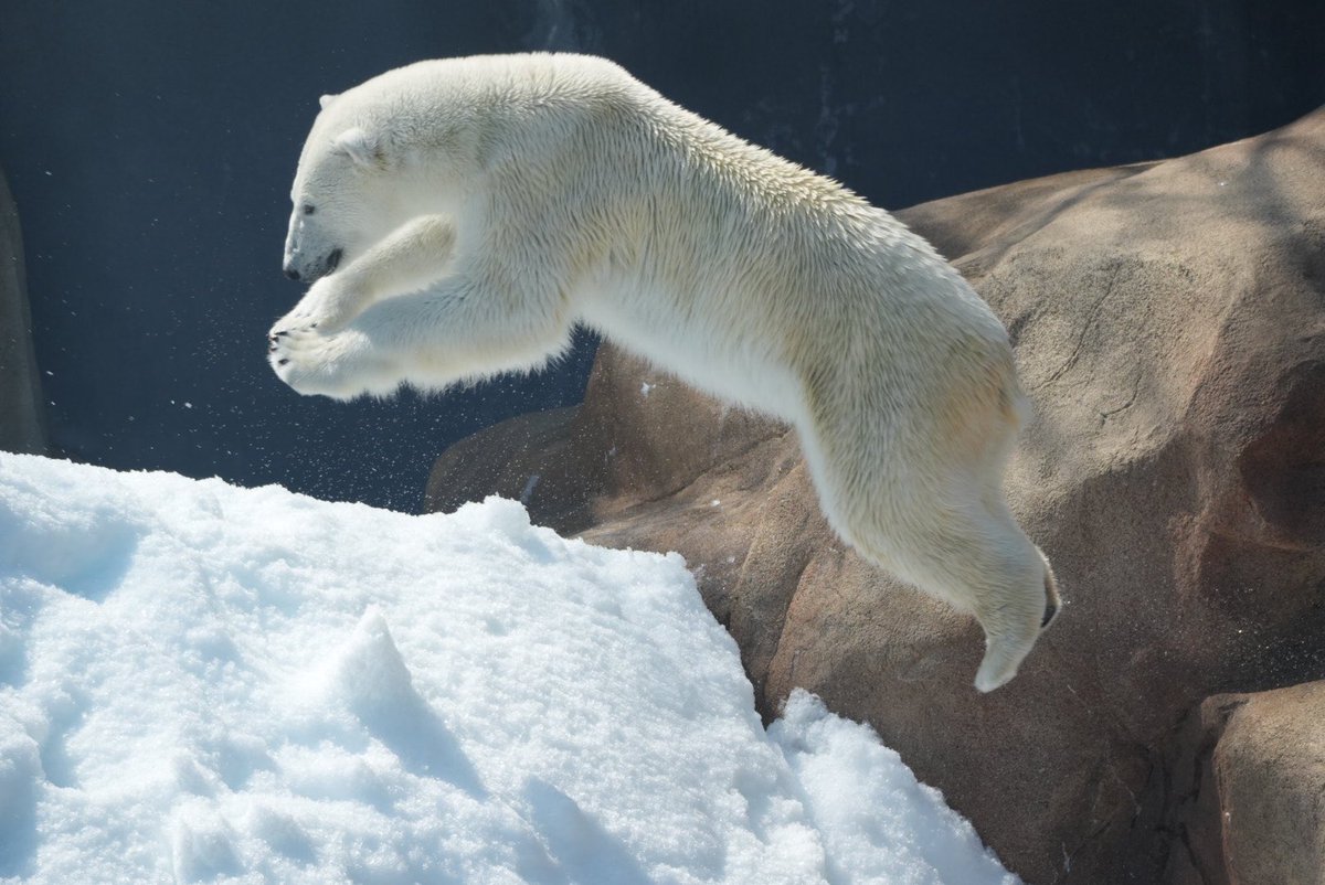 りつこ tweet media