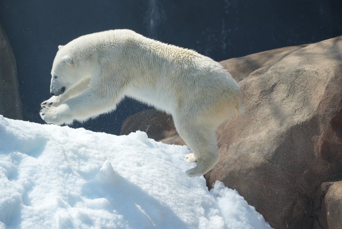 りつこ tweet media