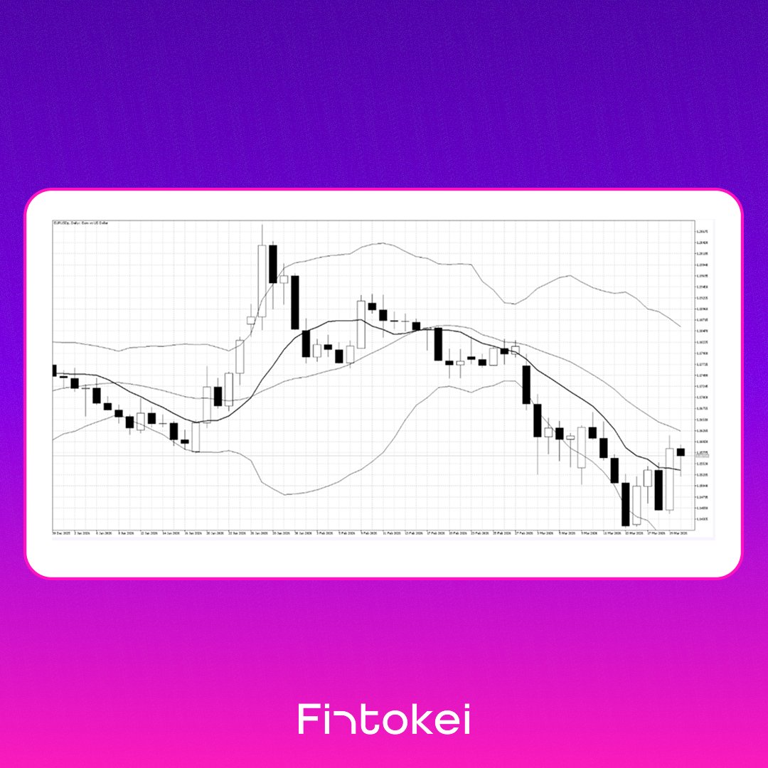 Fintokei tweet media