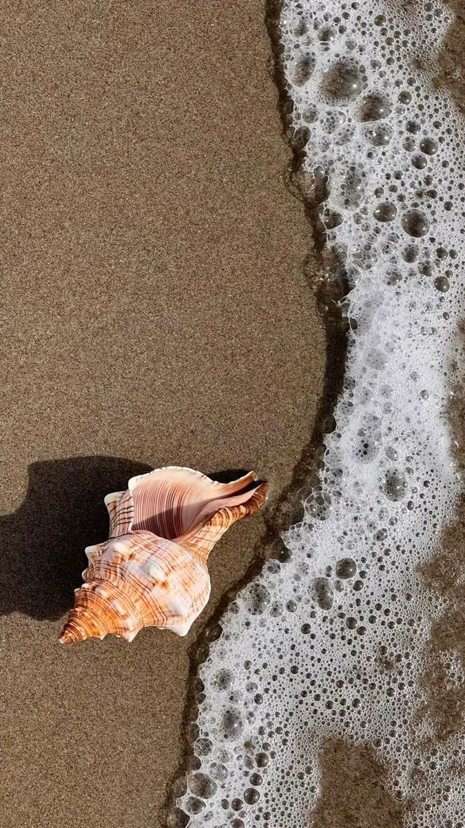 landspace tweet media