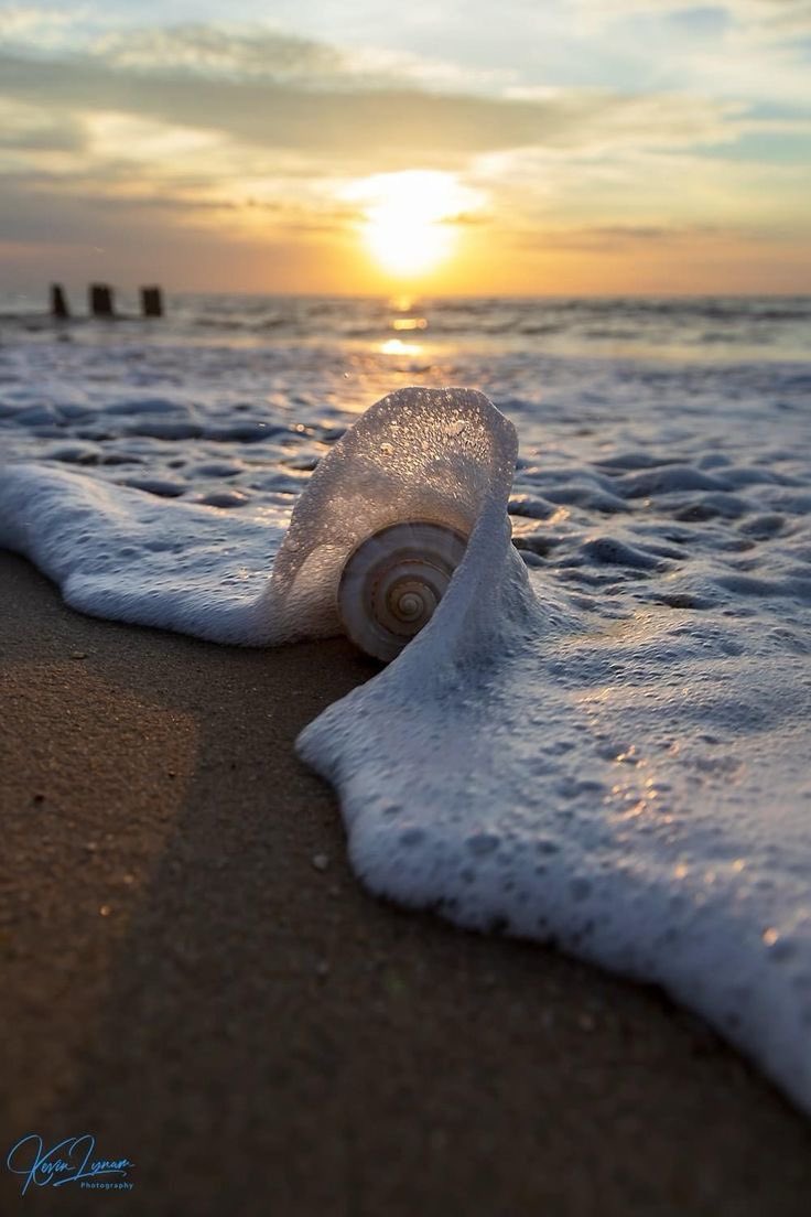 landspace tweet media