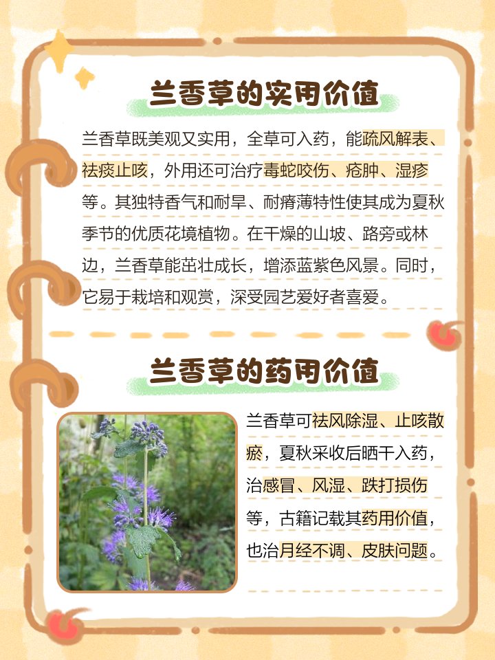 Solomon Christlove tweet media