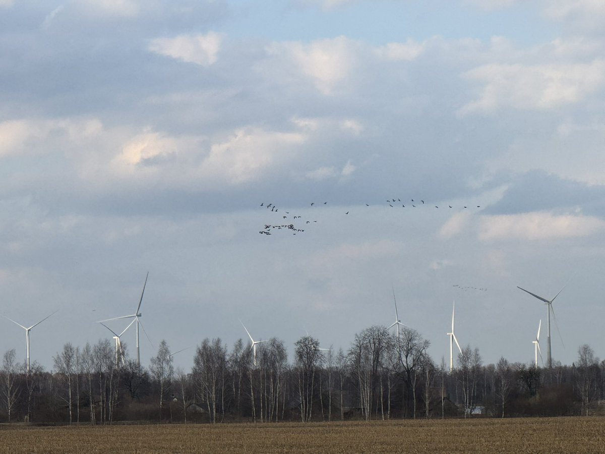 Dženārs 🤝 realNepareizais tweet media