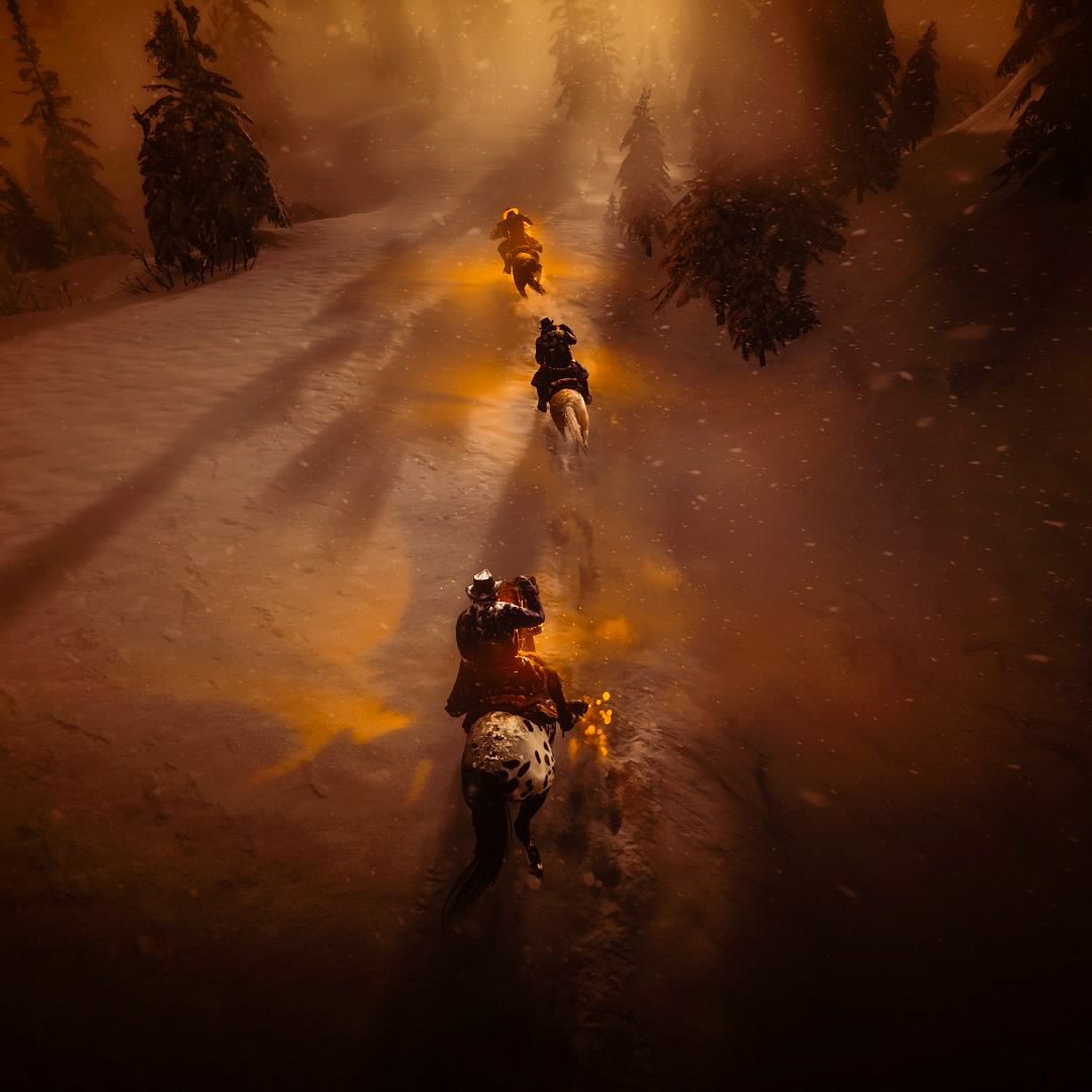 Ana Laura 🌿 tweet media