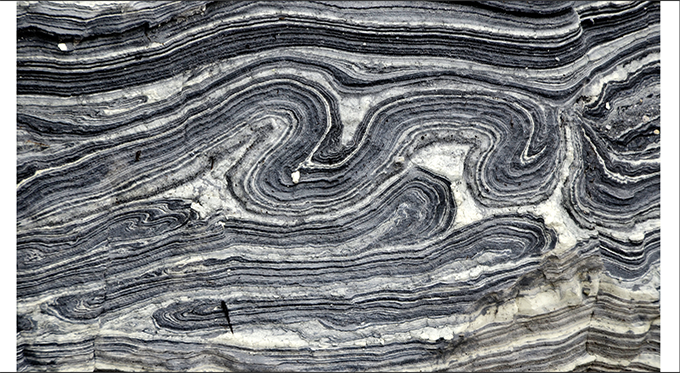 ジオガシ旅行団／Michiko SUZUKI tweet media