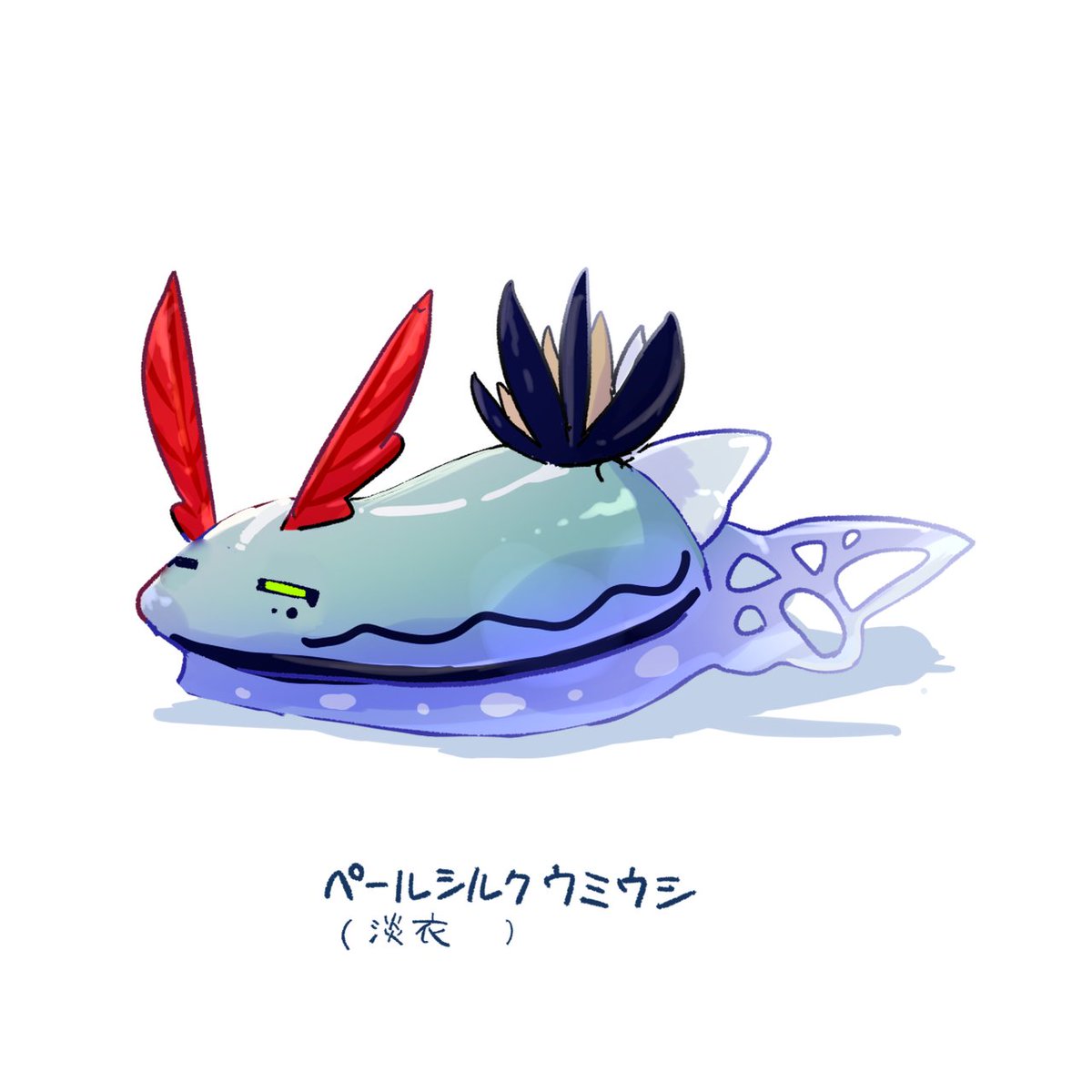 淡衣きぬ🪶 (@usu1_kinu) on Twitter photo 