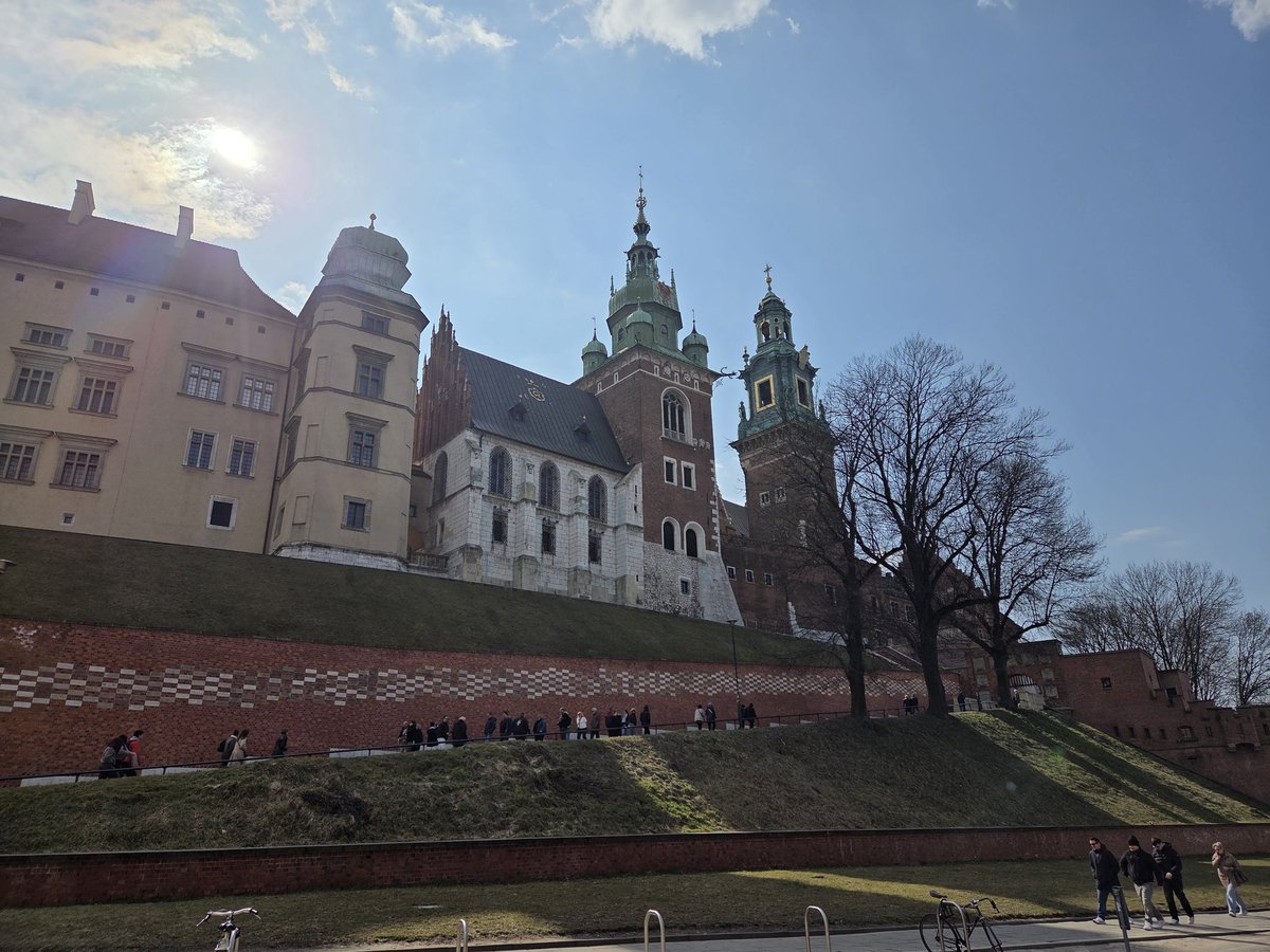 Northern monkey tweet media