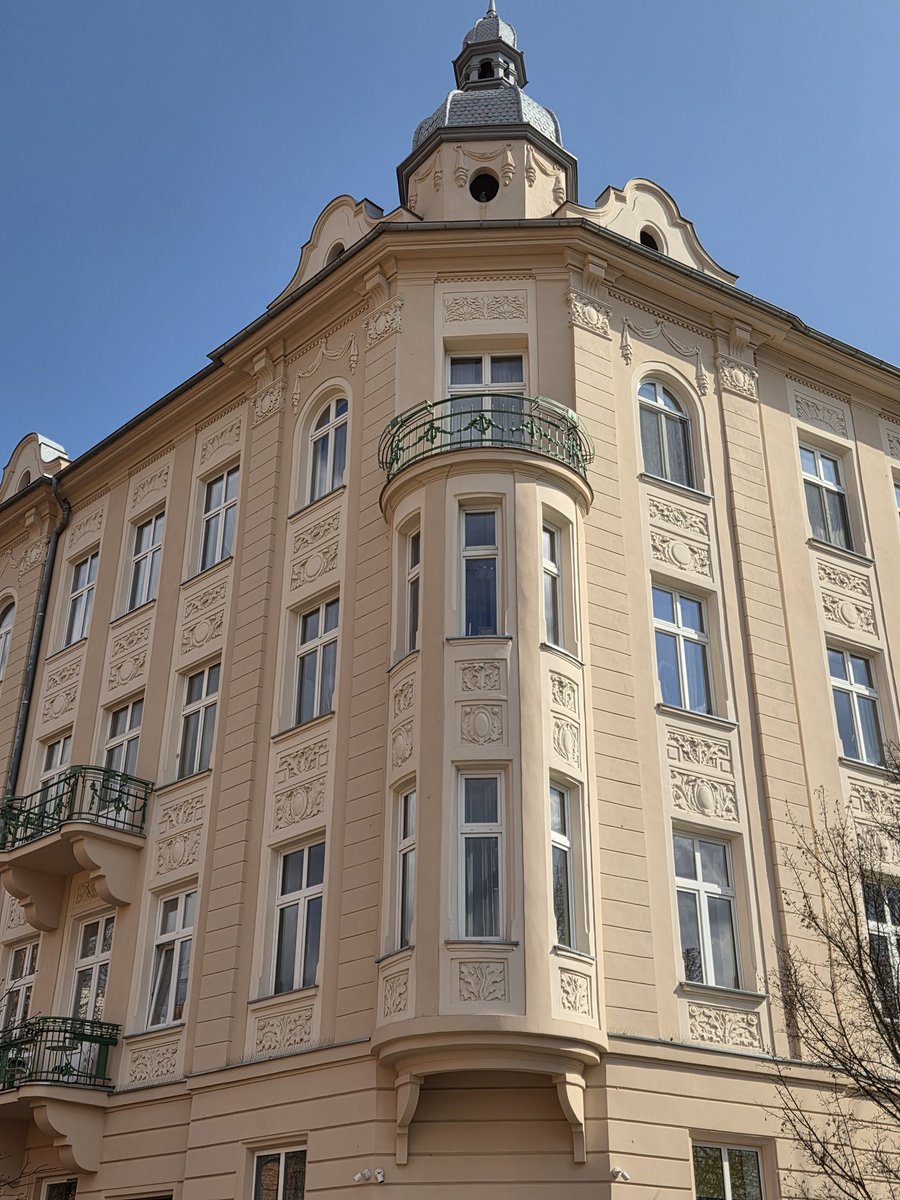 Northern monkey tweet media