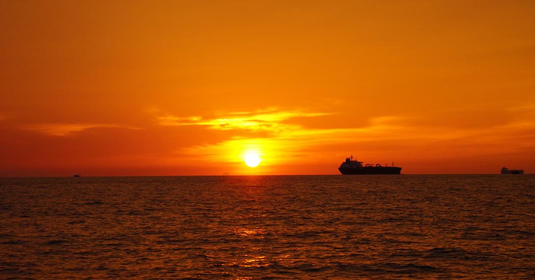 Alexander tweet media