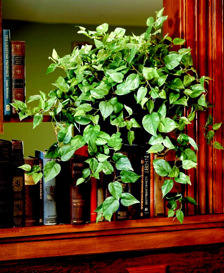 GraphAI | Official Announcements tweet media