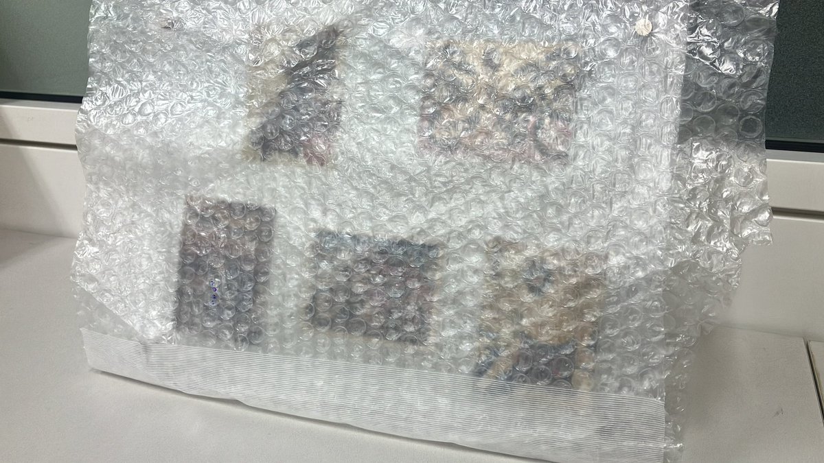 LS2HELMETS【日本代理店公式】 tweet media