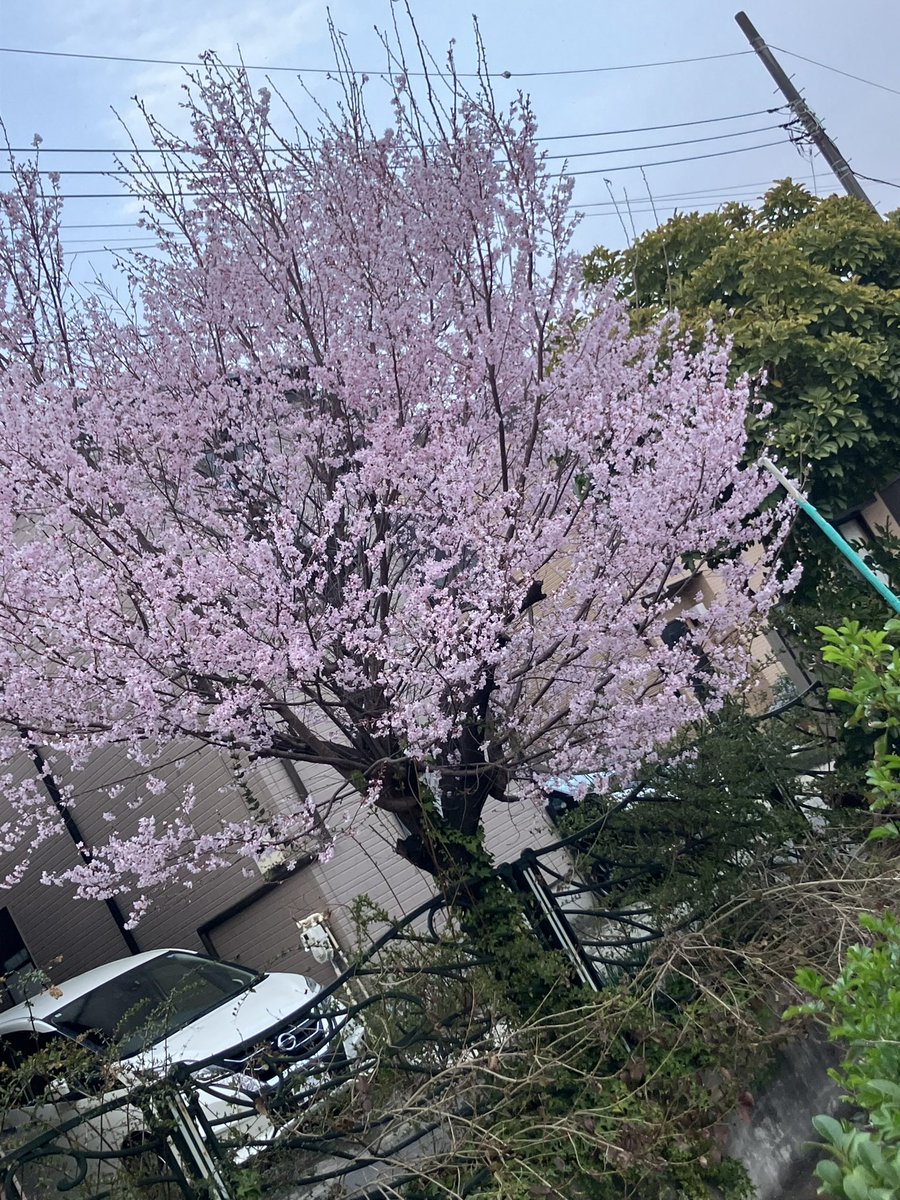 オババ@BBBox・コミケ12/30【東シ‐56b】 tweet media