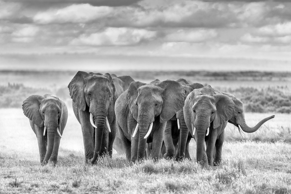 Richard Bernabe tweet media