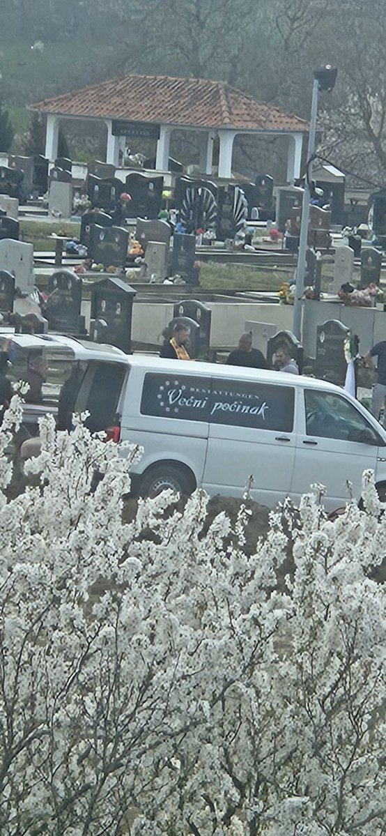 Marko M. Dragoslavic tweet media