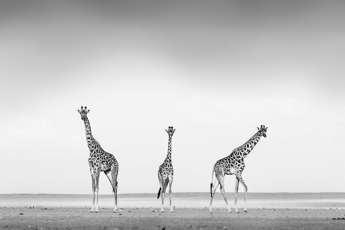 Richard Bernabe tweet media