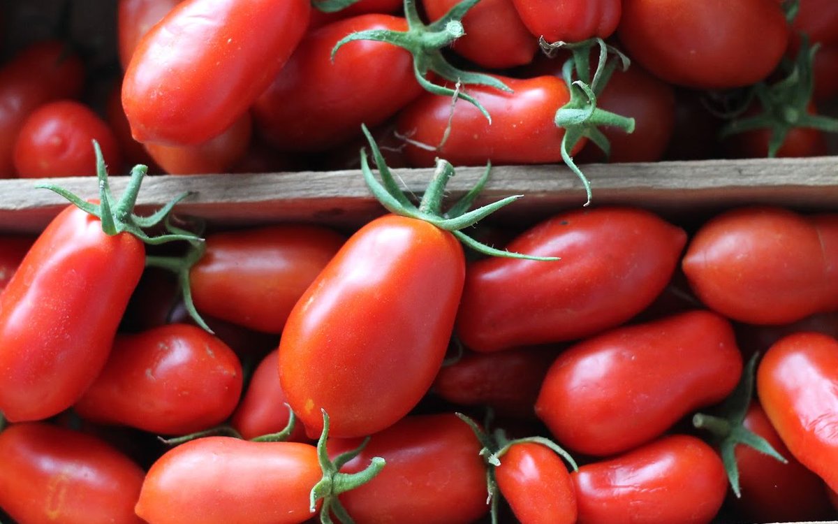 Helena Carlina tweet media