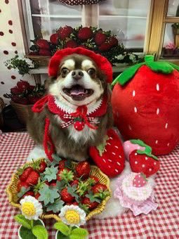 ﾔﾝﾏʓ tweet media