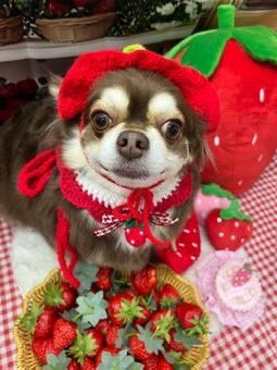 ﾔﾝﾏʓ tweet media