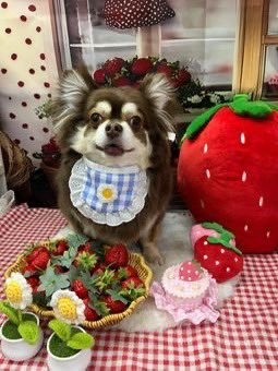 ﾔﾝﾏʓ tweet media