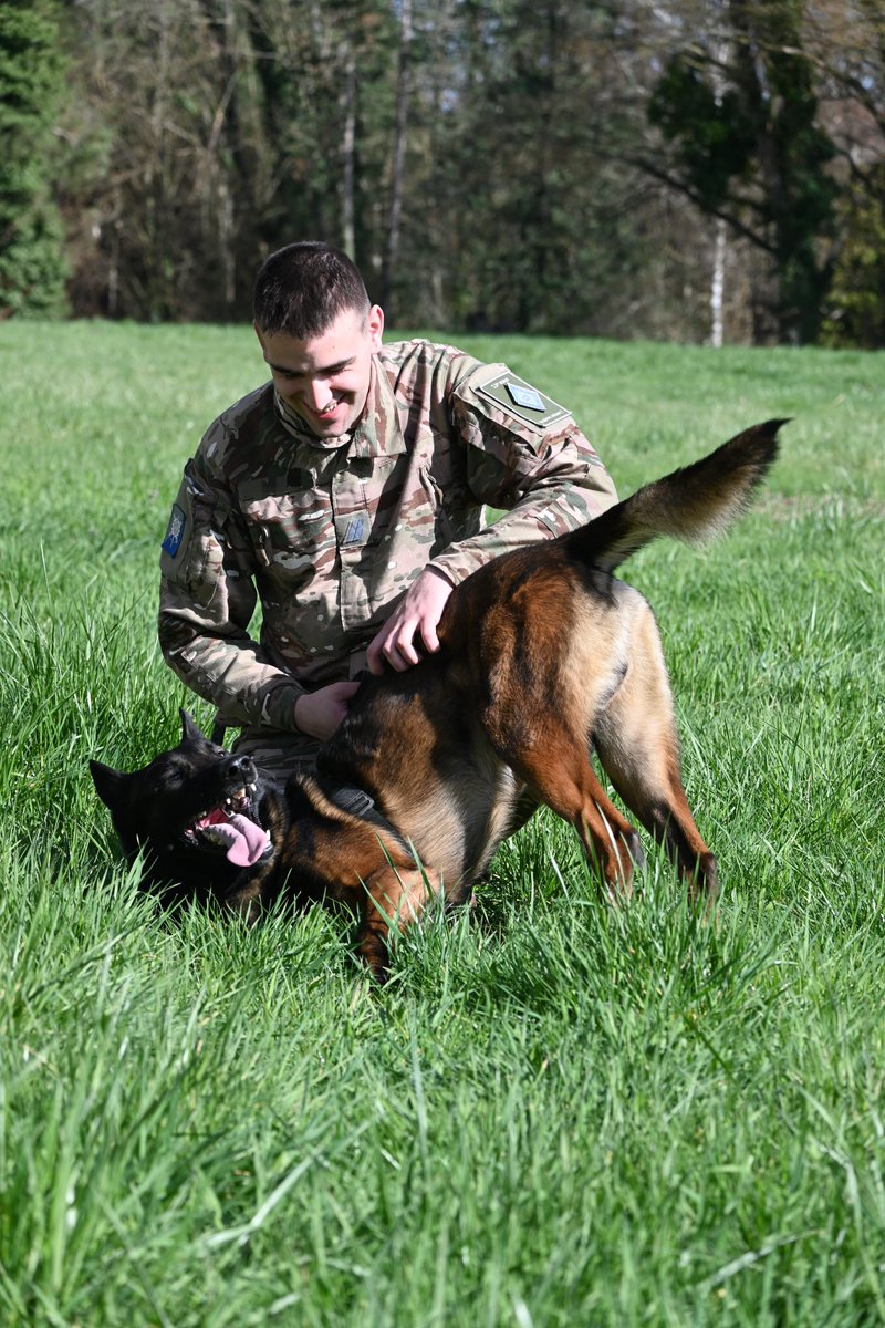 13e base de soutien du Matériel tweet media